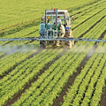 Campania, in arrivo 140 milioni di euro per il ricambio generazione in agricoltura 