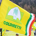 Coldiretti Salerno: 3 ottobre rinnovo delle cariche i nuovi membri per “Coldiretti Giovani Impresa” e “Coldiretti Donne”