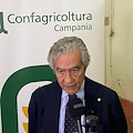 Confagricoltura Campania a Vinitaly 2025: lunedì 7 aprile (ore 17) convegno sul trend del vino regionale