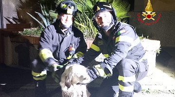 Salerno, Aris cade in un canale a Ogliara, salvato dai Vigili del Fuoco