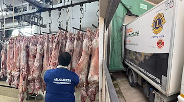 Sequestrate 165 carcasse di ovi-caprini: idonee al consumo, donate al Banco Alimentare di Fisciano