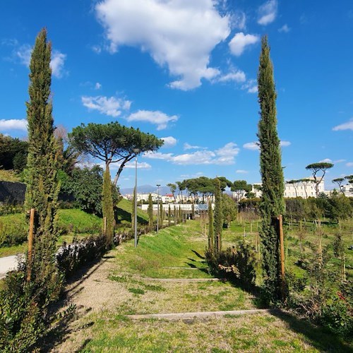 A Pompei una "Palestra culturale" per allenare mente e spirito tra incontri e laboratori