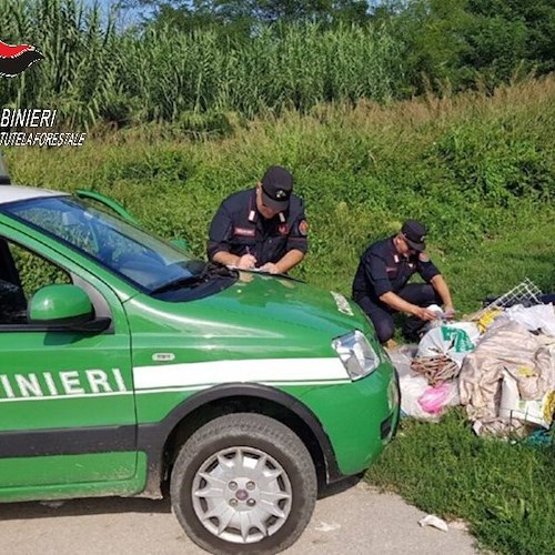 Abbandona rifiuti nell’ambiente, 600 euro di multa per un uomo di Buccino 