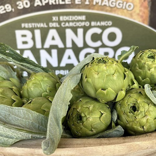 Ad Auletta la XI edizione di Bianco Tanagro: venerdì il Carciofo d’Oro al conduttore RAI Giuseppe Calabrese