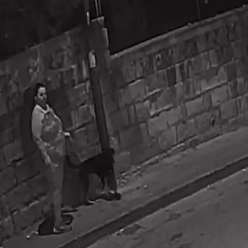 Cane abbandonato a Cercola, una donna lo lega al palo e fugge via. Il video fa il giro dei social 