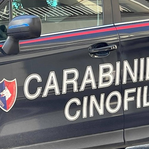 Carabinieri, il consuntivo del Comando Provinciale di Salerno: 952 arresti e 28 milioni di euro sottratti alla criminalità