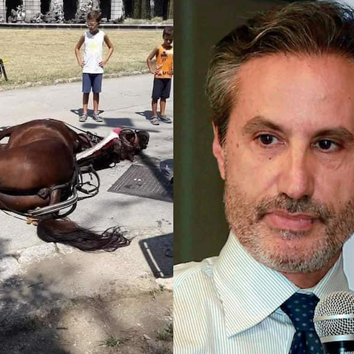 Cavallo morto alla Reggia di Caserta, Caldoro: «Brutta pagina di violenza sugli animali»