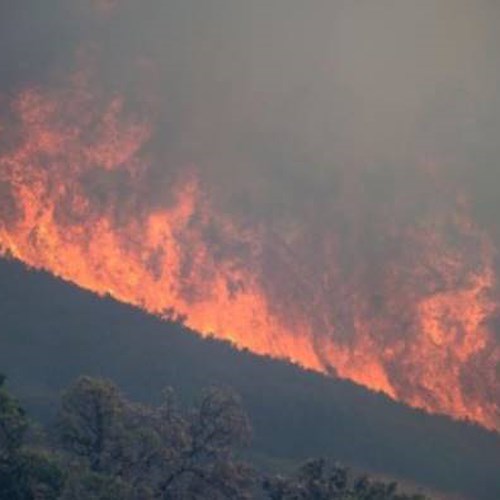 Cilento, incendio su Monte Stella: è caccia ai piromani 