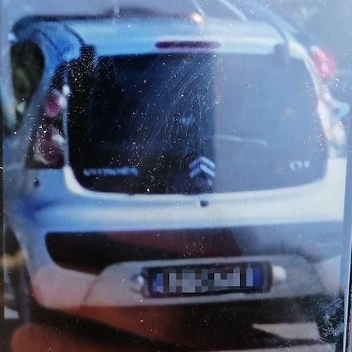 Entrano nel porto turistico con l'auto e abbandonano rifiuti: incivili in azione a Salerno 