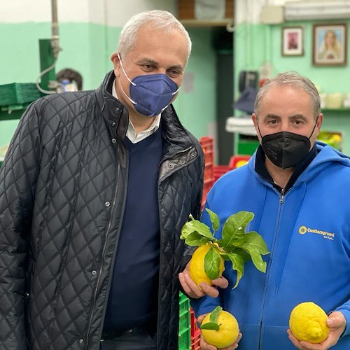 Guerra in Ucraina, materie prime. Assessore Caputo: «Rimuovere restrizioni agli aumenti di produzione per contrastare gli effetti della crisi»