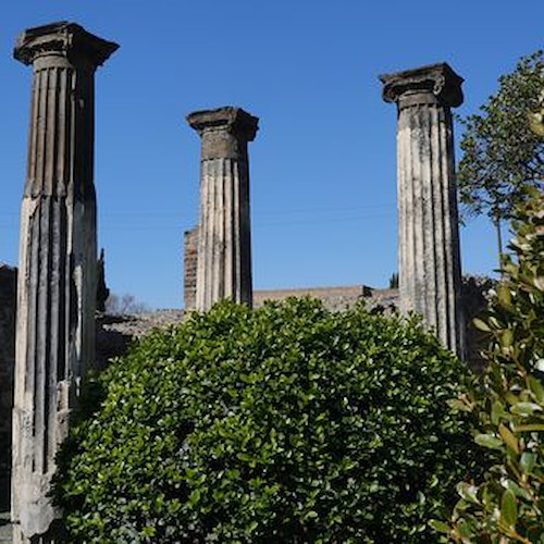 Il nuovo Vivaio di Pompei, 14 marzo anteprima per i visitatori in occasione della Giornata nazionale del Paesaggio