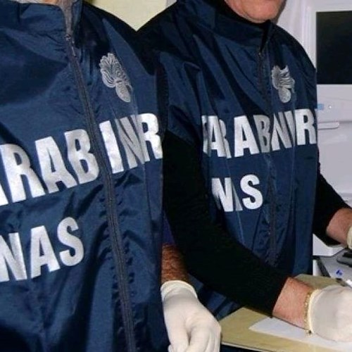 In tutta la provincia controlli dei Carabinieri del NAS a ristoranti e stabilimenti 