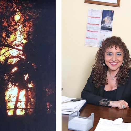 Incendiate sei piante nel Parco urbano di San Marzano sul Sarno, lo sdegno della sindaca Carmela Zuottolo