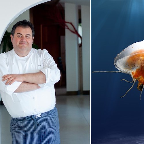 L’annuncio “insolito” dello chef Gennaro Esposito: «Presto vi presenterò un piatto a base di medusa»