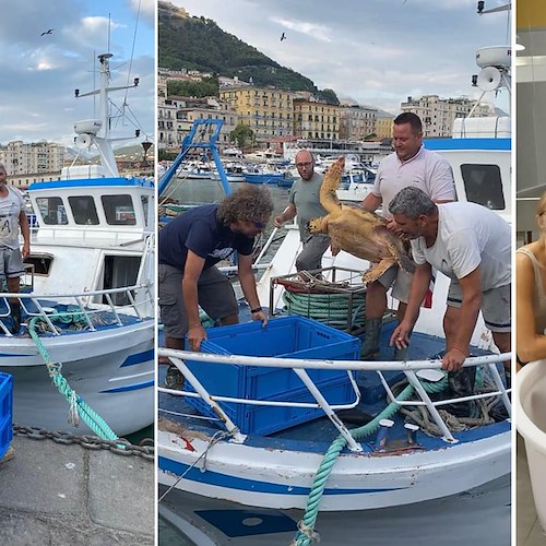 Pescatori salvano Caretta Caretta a Salerno: finora trovati 32 nidi in Campania