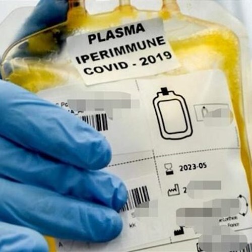Plasma iperimmune, Cotugno cerca donatori guariti da 14 giorni dal Covid-19