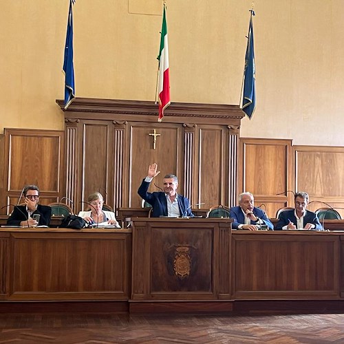 Provincia di Salerno, Alfieri convoca Assemblea dei Sindaci e Consiglio per il 27 luglio