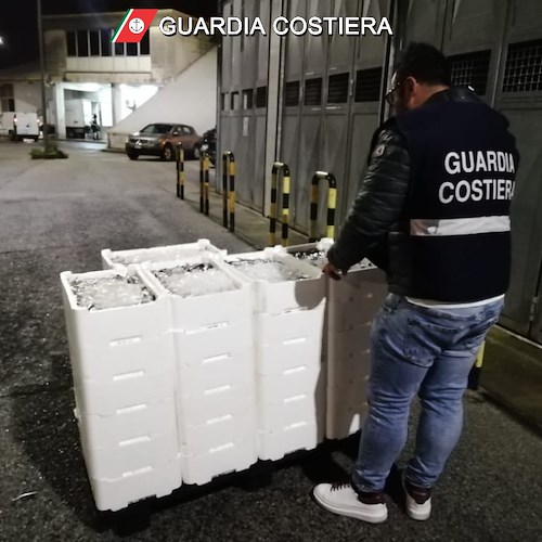 Salerno: attività ispettiva al Mercato Ittico, sequestrati 500 kg di prodotti non tracciati