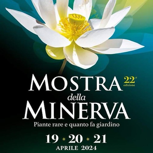 Mostra della Minerva 2024 <br />&copy; Comune di Salerno