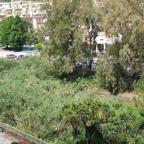 Salerno, Pessolano (Oltre): «Pulire i torrenti cittadini durante l'estate: si programmi un piano d'azione»