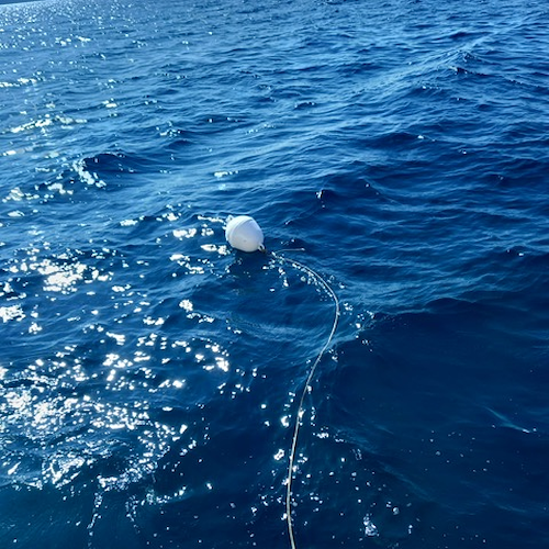 Santa Maria di Castellabate, sequestrata rete da pesca irregolare e sanzionato diportista in zona marina protetta