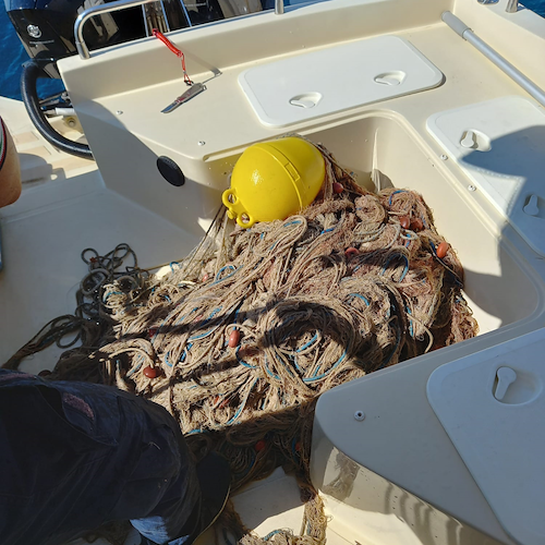 Santa Maria di Castellabate, sequestrata rete da pesca irregolare e sanzionato diportista in zona marina protetta