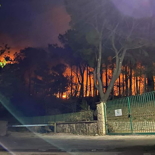 Sarno assediata dalle fiamme: incendi in via Bracigliano e Torregatto [FOTO-VIDEO]