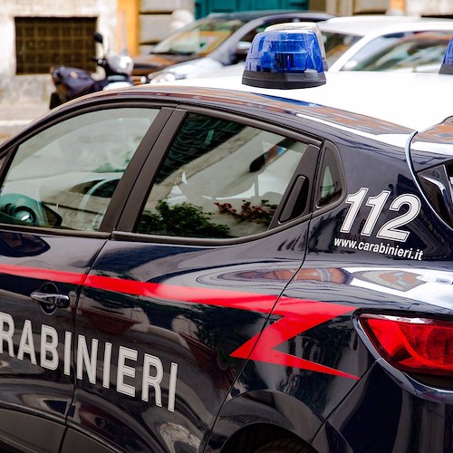 Vallo della Lucania: carabinieri arrestano 50enne pregiudicato per furto 