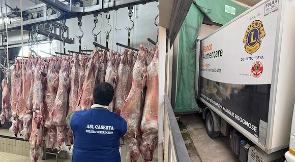 Sequestrate 165 carcasse di ovi-caprini: idonee al consumo, donate al Banco Alimentare di Fisciano